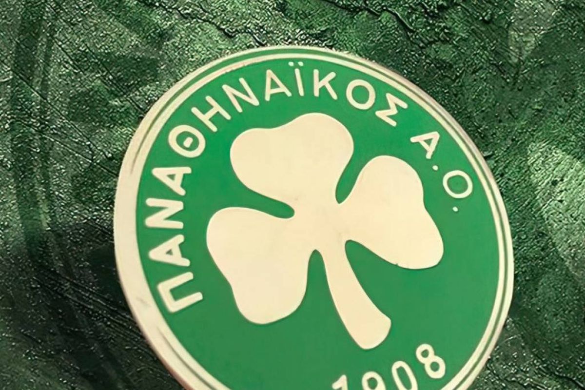 c75024c338550795dba42d466d6f4758 XL c3ad8c46