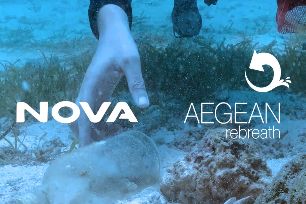 1024X1024 30 c4fb9ac6