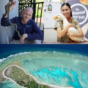 Ιανουάριος στο Viasat Nature: το θαύμα του Μεγάλου Κοραλλιογενή Ύφαλου και απίθανες περιπέτειες με γητευτές φιδιών