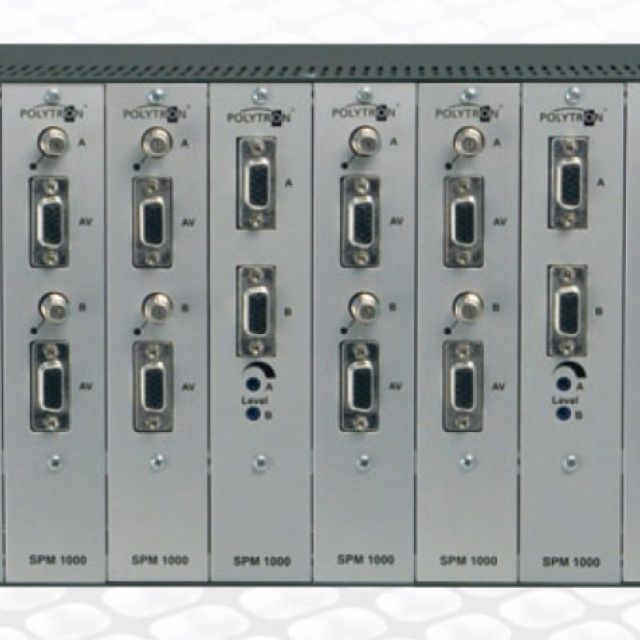 Polytron SPM-T2AVT, δύο προγράμματα DVB-T/T2 σε AV