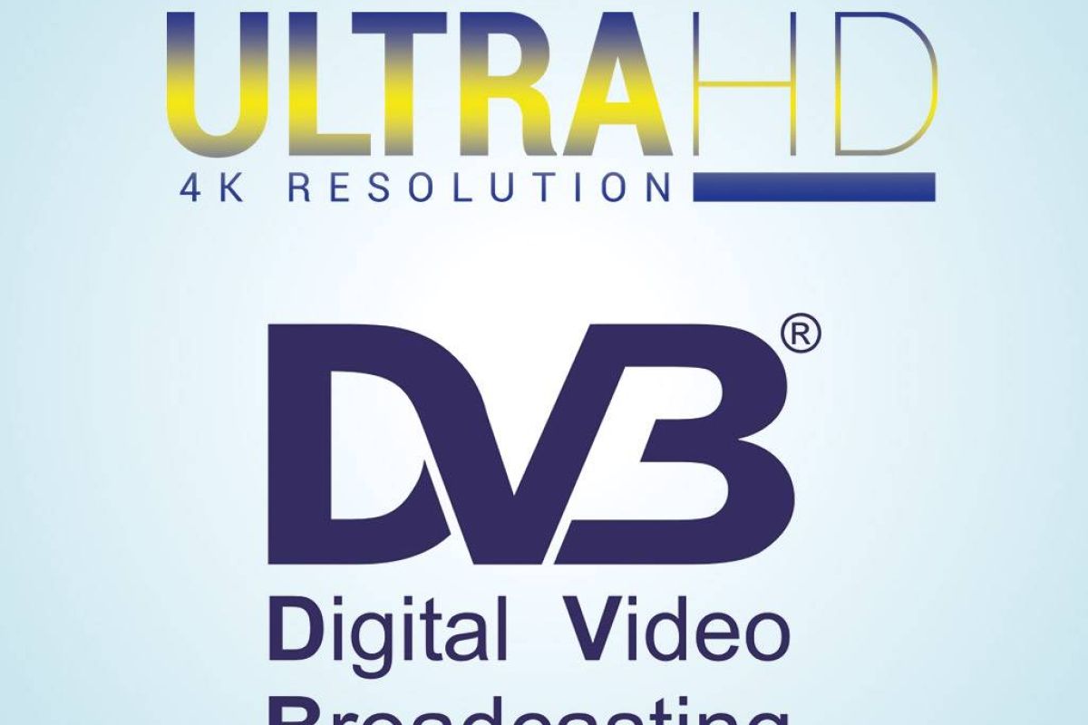 3eee7514c33b32a31968e74a0786d3fc XL c6f3f239