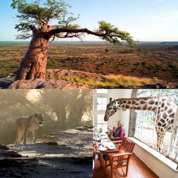 Οι κορυφαίες στιγμές του Viasat Nature CEE τον Μάιο