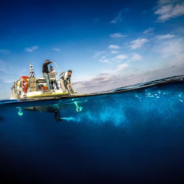 VODAFONE POSIDONIA: Ολοκληρώθηκε επιτυχώς η χαρτογράφηση της Ποσειδωνίας στη Σύρο – Επόμενος σταθμός Πάρος-Αντίπαρος