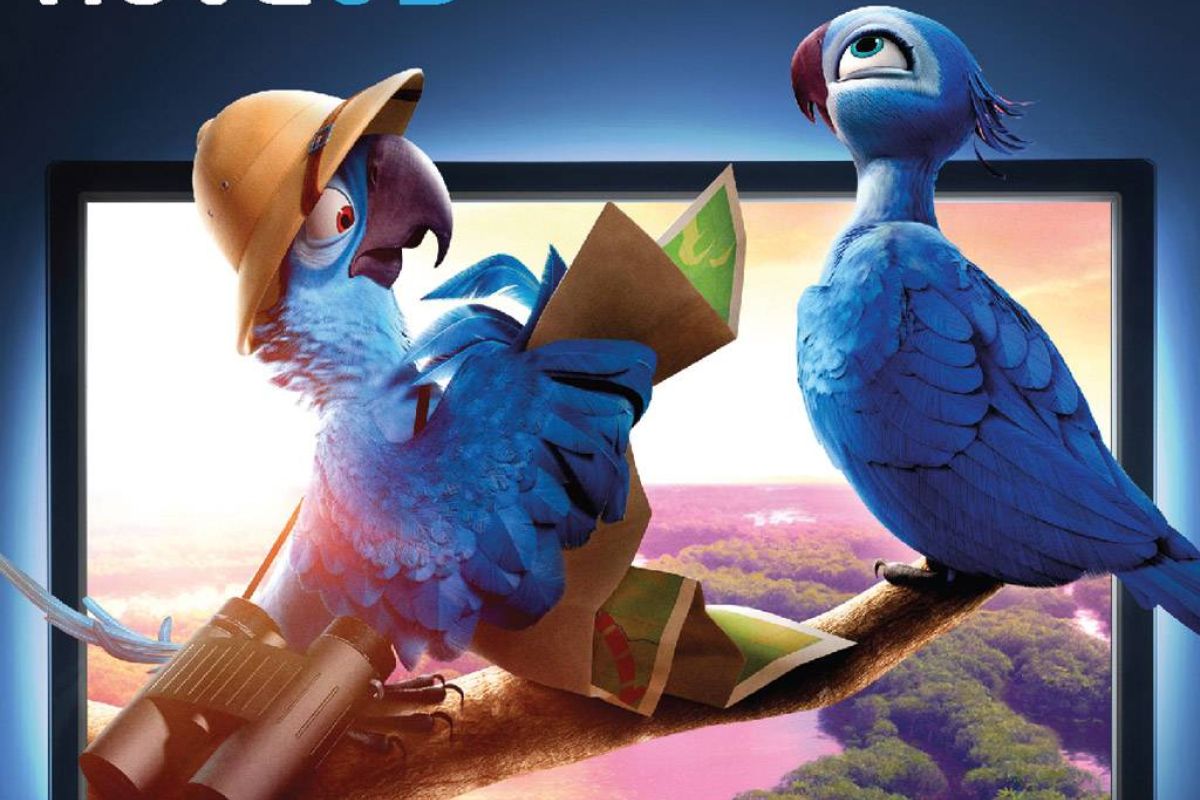 cf17341b702059ab06b70436477b0abb XL c6ef55d6