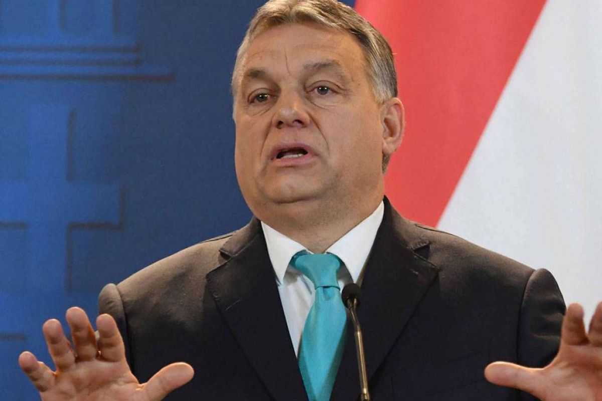 7cfc5d7f2c338242df5d38d1f8020515 XL c71161be