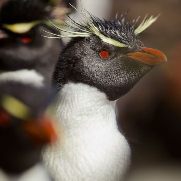 ΔΕΚΕΜΒΡΙΟΣ ΣΤΟ VIASAT NATURE