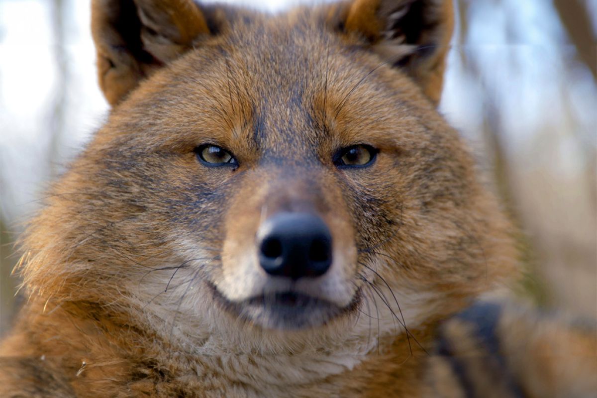 Untitled 1 42 c746d002