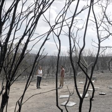 ΕΡΤNEWS: «365 στιγμές» με τη Σοφία Παπαϊωάννου – «Η εγκατάλειψη των ελληνικών δασών»