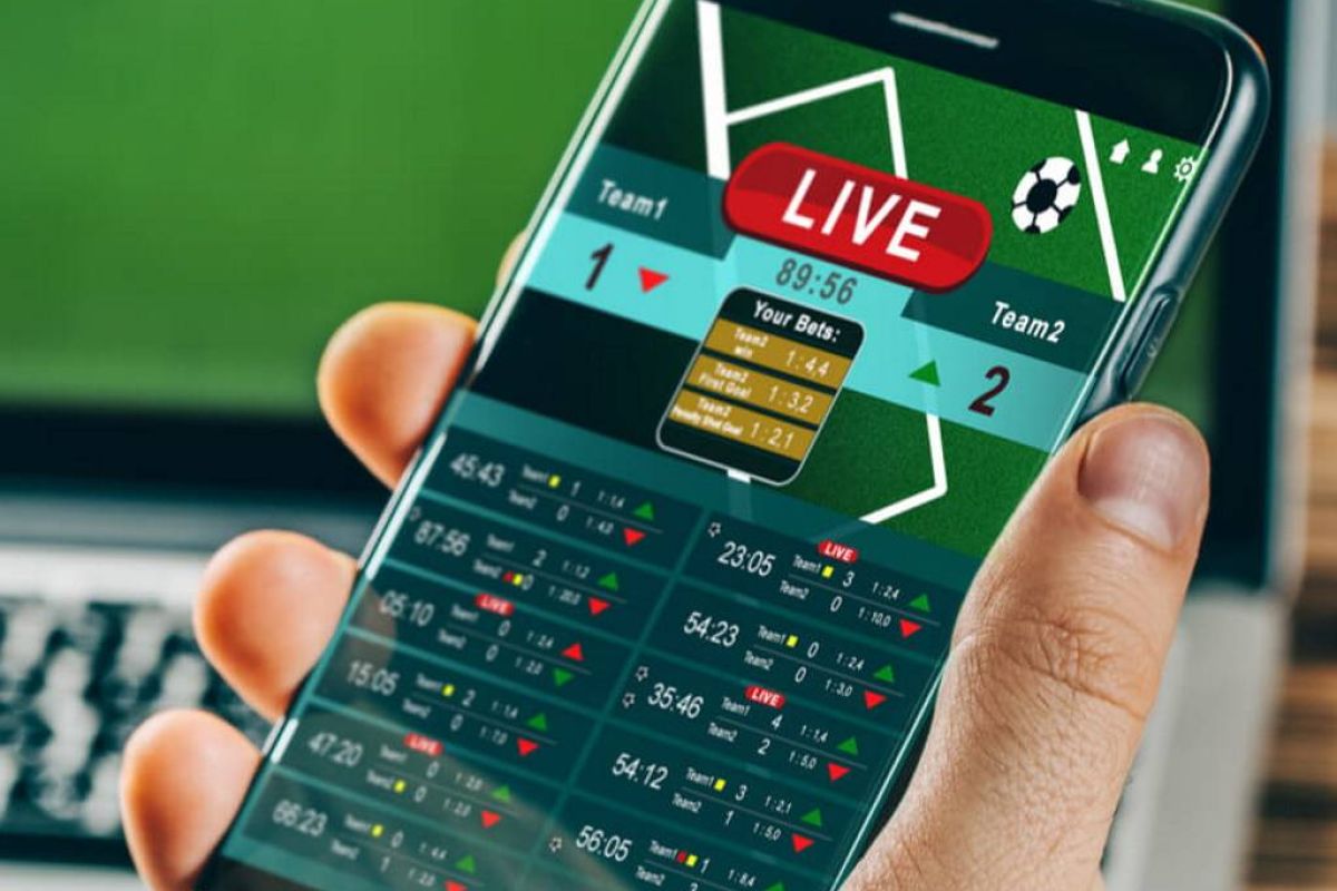 479d1ad16e870082f10e1244504e4ccc XL c8ab0d75