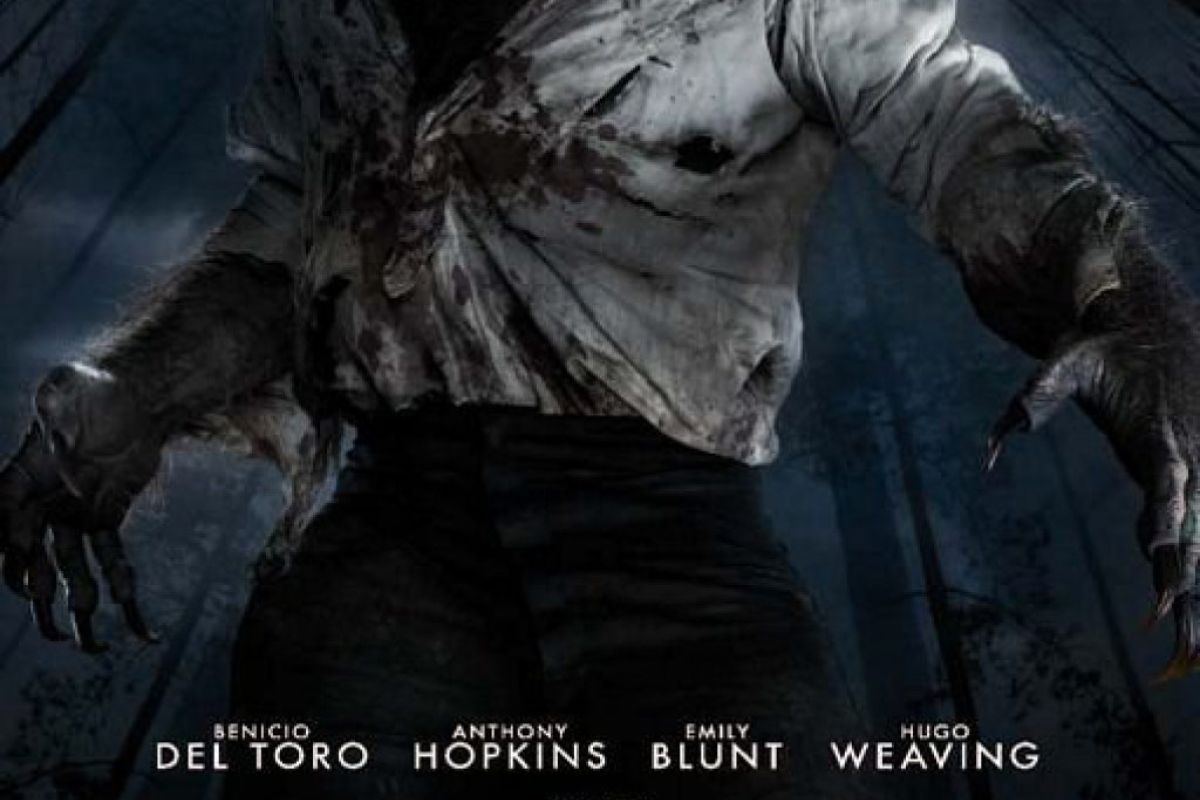 ecccccc1b95c6b4158d629f0bc134b76 XL c843f618