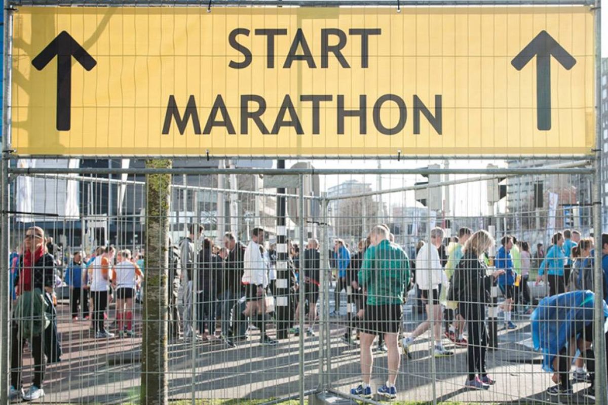 fdfac1549b414389a3f514ca36b3b7bf XL c8614084