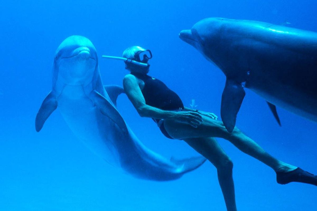 817745eecb359da7d137b01555175799 XL c959fba0