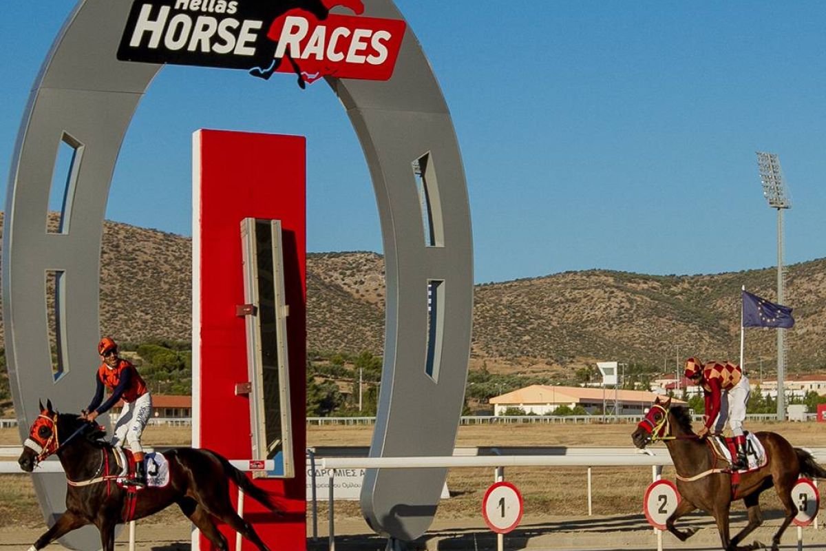 8502460ede78533a1f1874bae977bfe9 XL c9404aa0