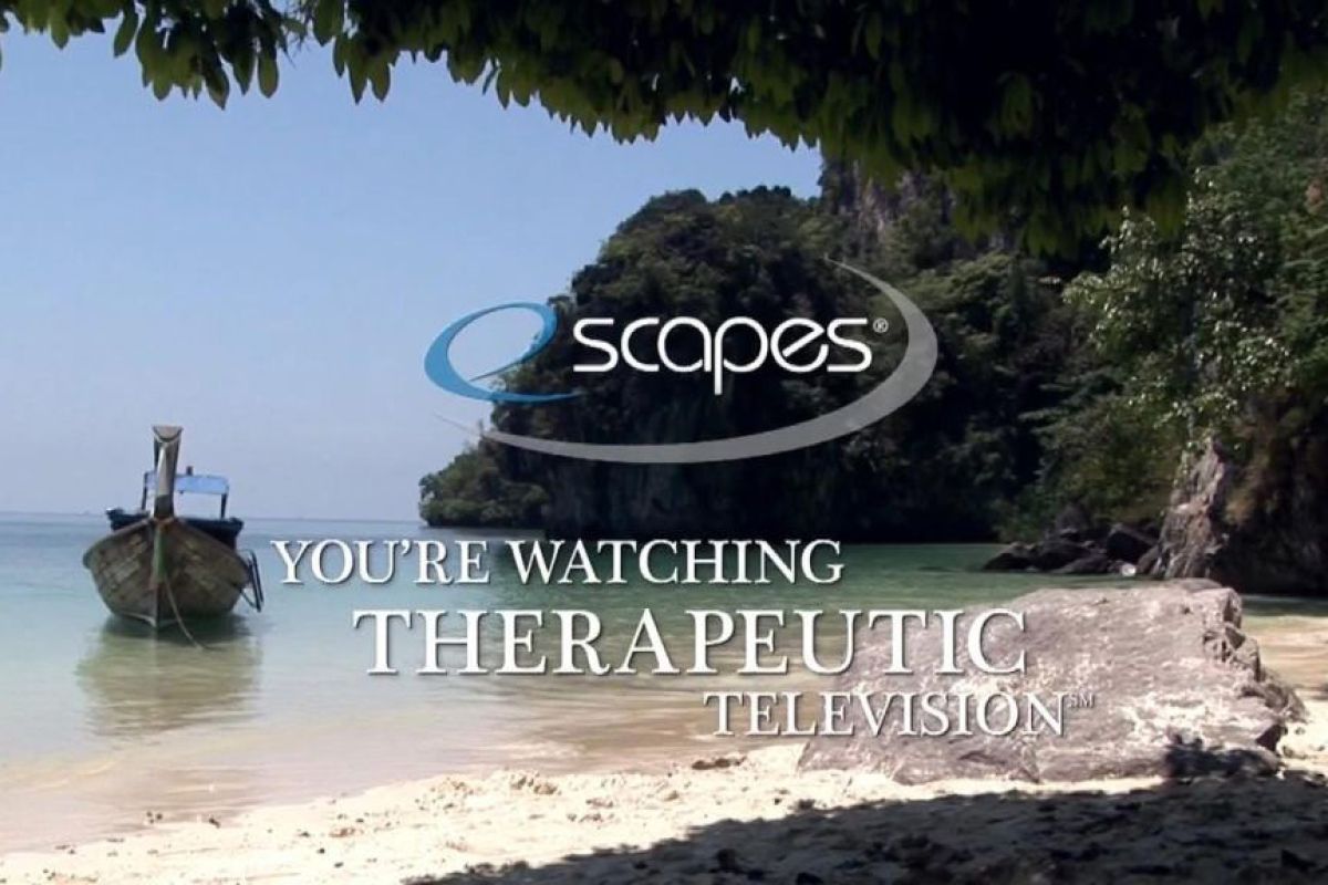 f73de8955ea8024f355875fbec16f6f1 XL c9c166a6