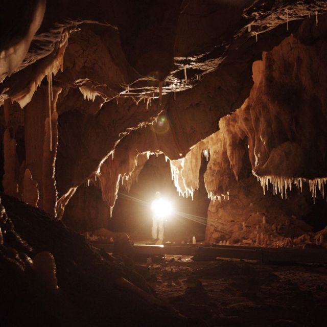 10 πράγματα που δεν γνωρίζατε για το σπήλαιο Σοβέ – το πρώτο μεγάλο αριστούργημα της ανθρωπότητας