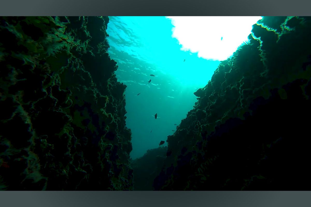 Ντοκιμαντέρ στην ΕΡΤ3: «Θάλαττα- Τα μυστικά του Αιγαίου»