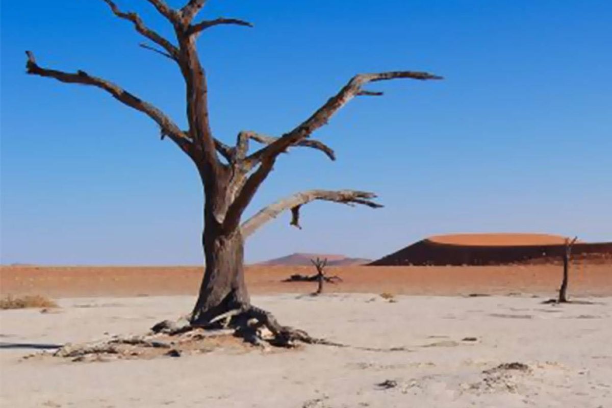 96f46b8767112587a1b8ac9a89eb3d28 XL cb34025e