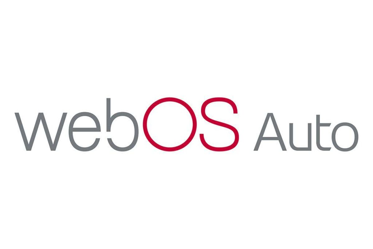 32bb723edef780248ce614dbd8efc0a9 XL cc4ed384