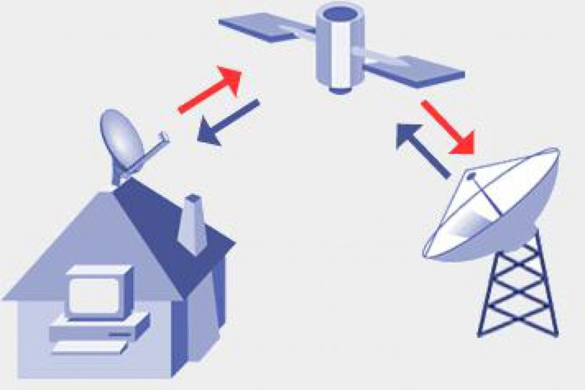 7bba78a3867f384974a4f2cd5915fddd XL cc509203