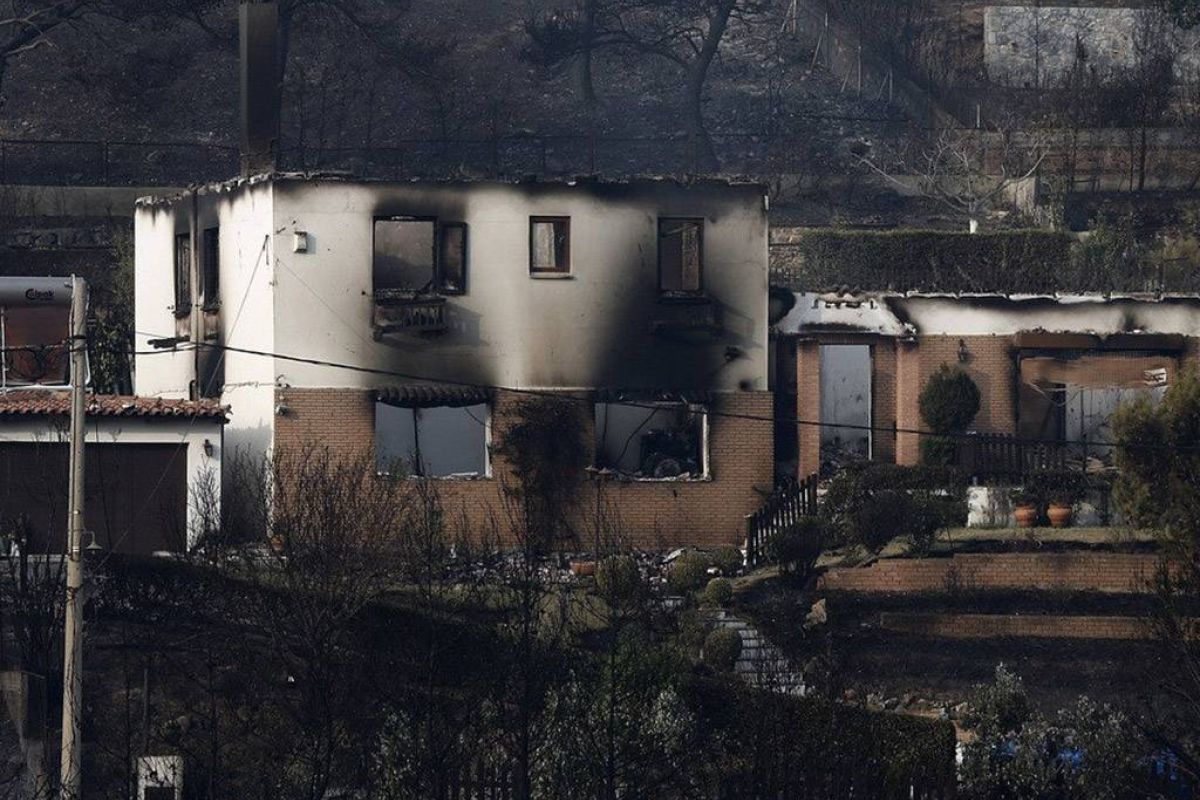 8c2bf61514fc44198a4c0726632d7a2f XL ccece986