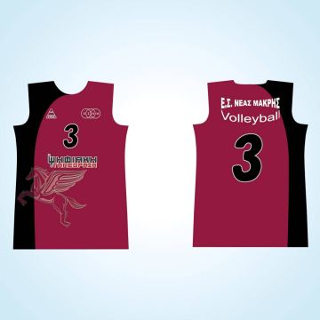 Η ΨΗΦΙΑΚΗ ΤΗΛΕΟΡΑΣΗ χορηγός φανέλας της γυναικείας ομάδας βόλεϊ Ε.Σ. ΝΕΑΣ ΜΑΚΡΗΣ