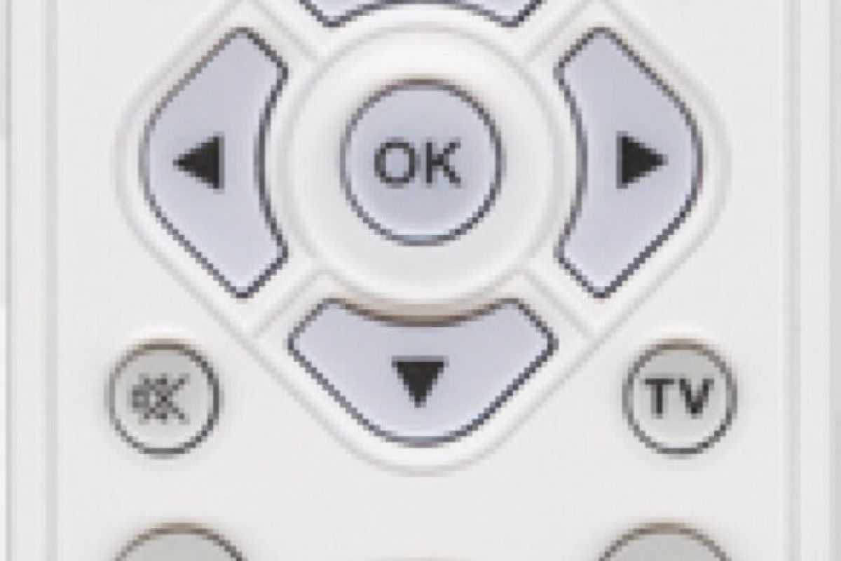 1777dced25dbec624c8b15b8c073b033 XL scaled cea6b6de