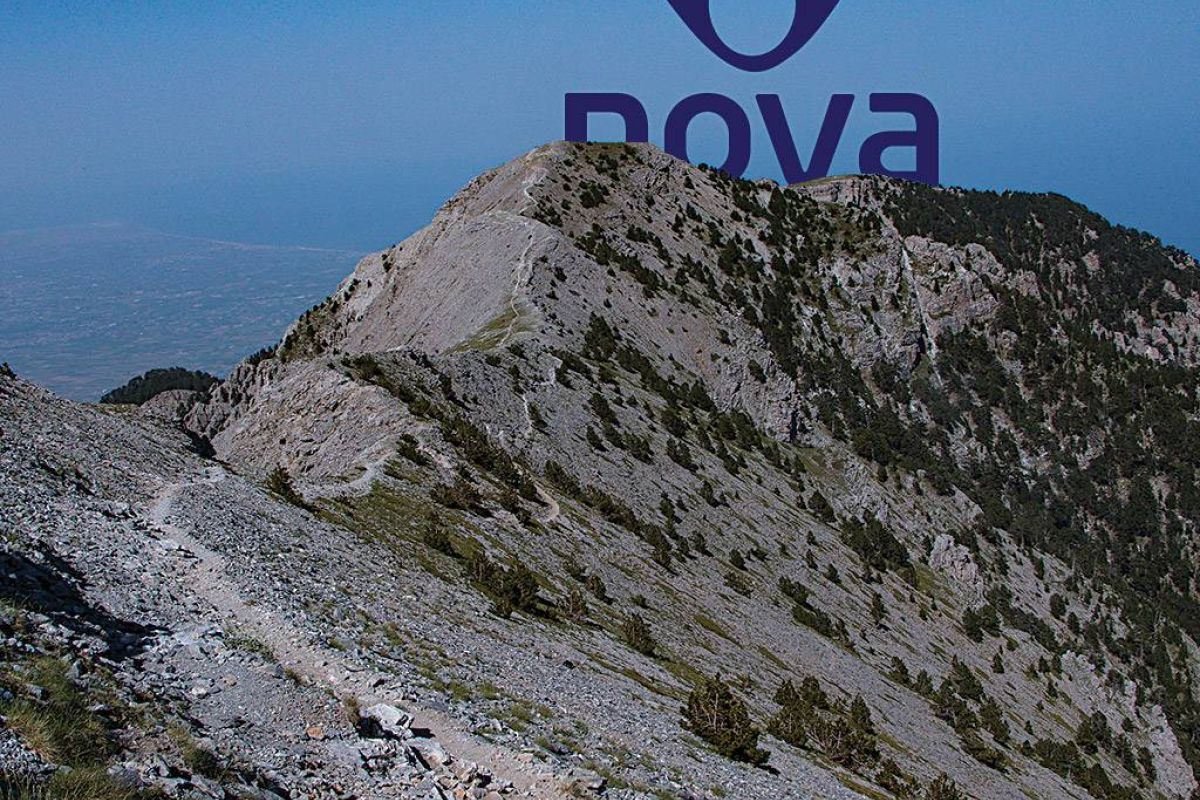 4570cf7ecab160a9582a21800979304a XL cee54f42