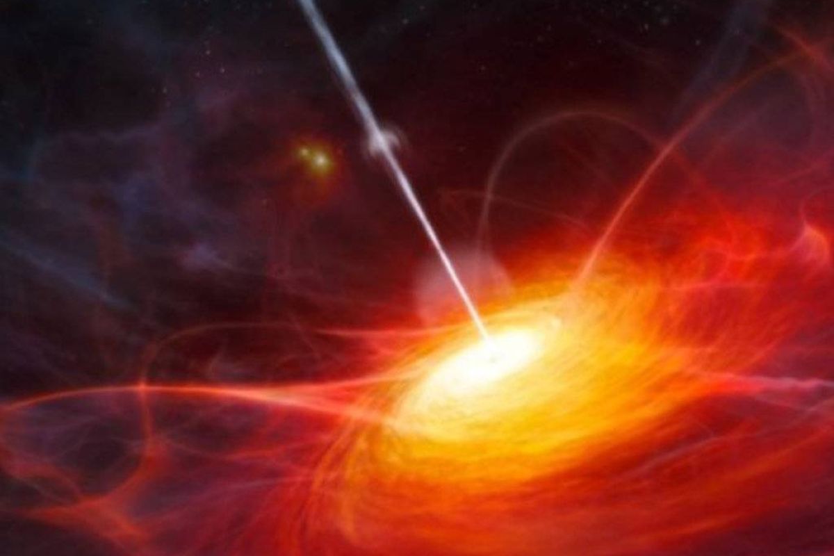 943d465b064a538ddc915963f4800cc3 XL ce9e5655