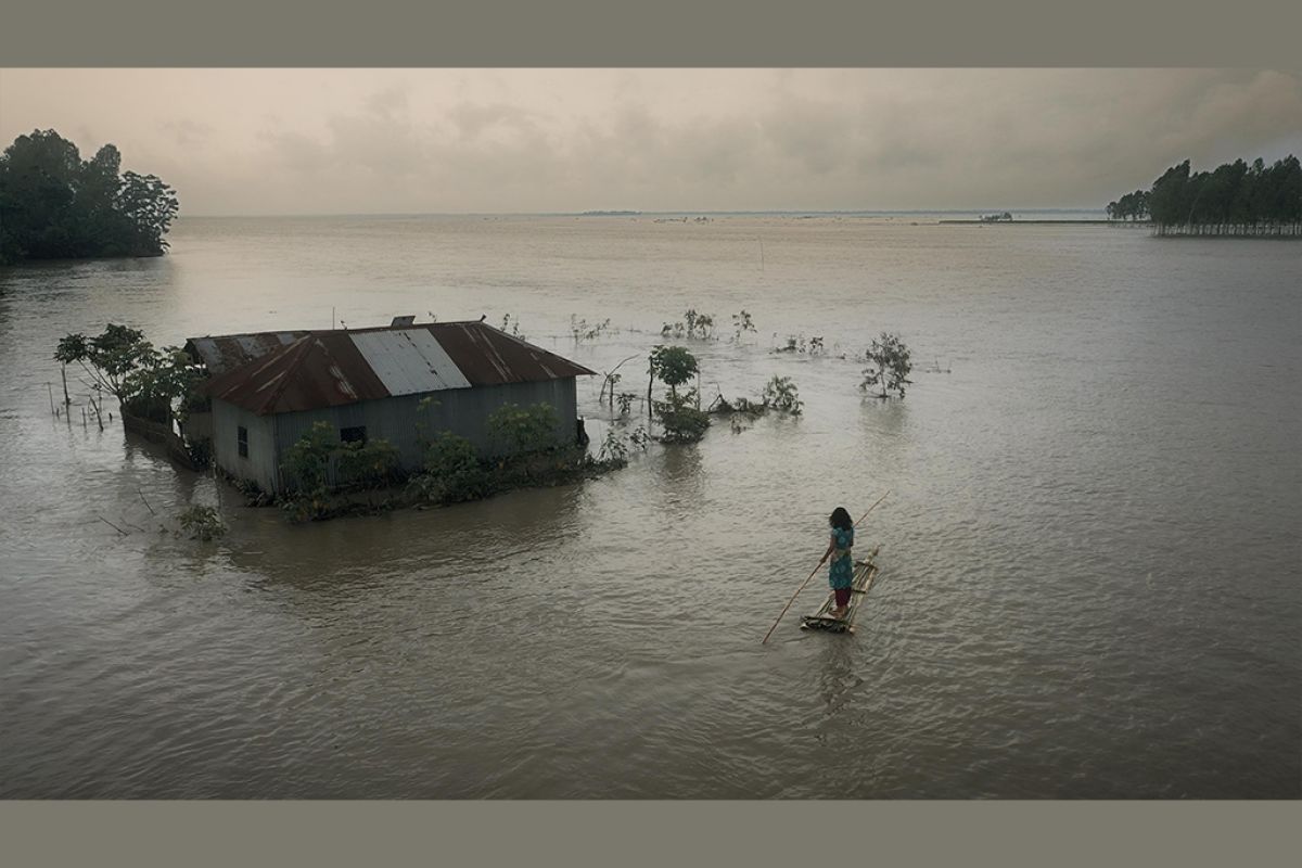 Untitled 1 17 cede6a4e