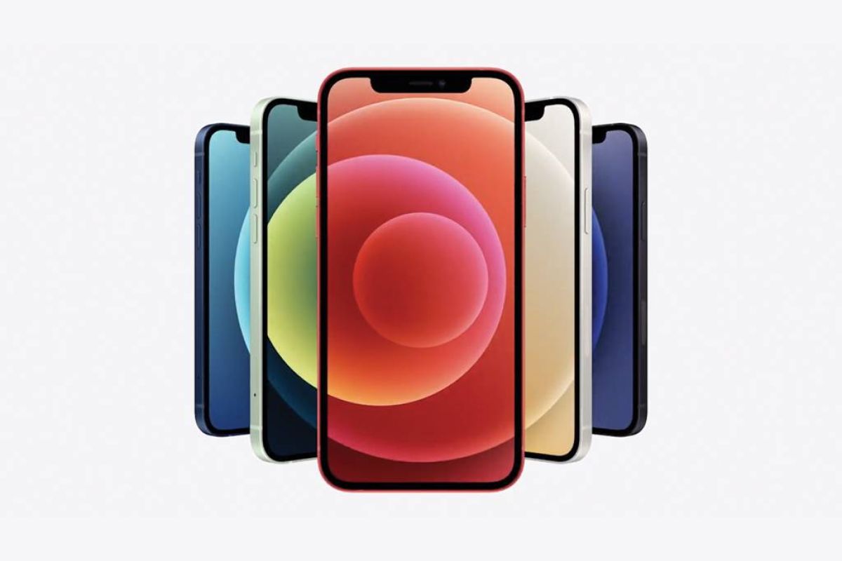 007d45596d1c9af528aa25f44aca726e XL cfd8ebaa