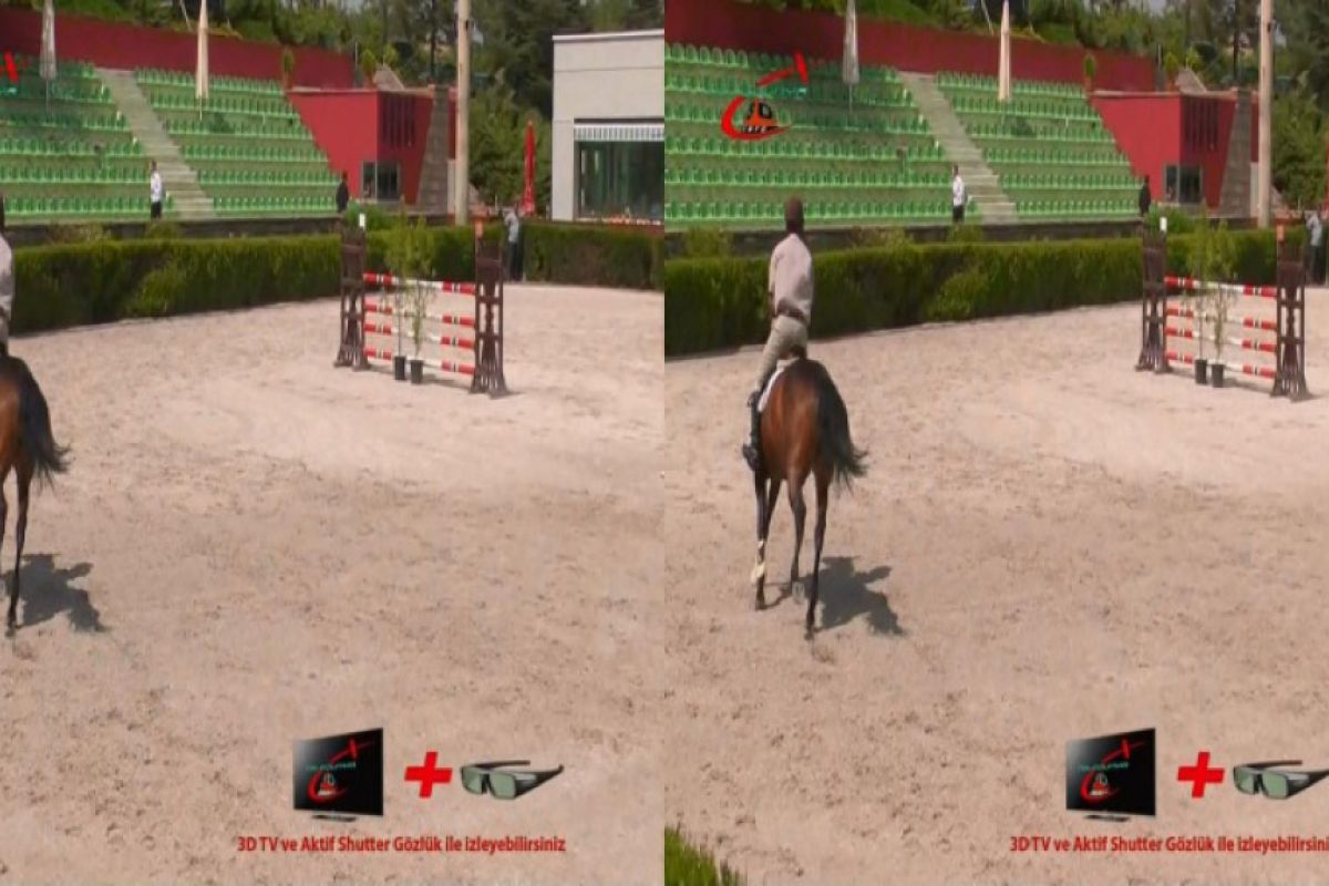 8fec76403cdb80bae15cf6ab854e1d50 XL cf3e1730