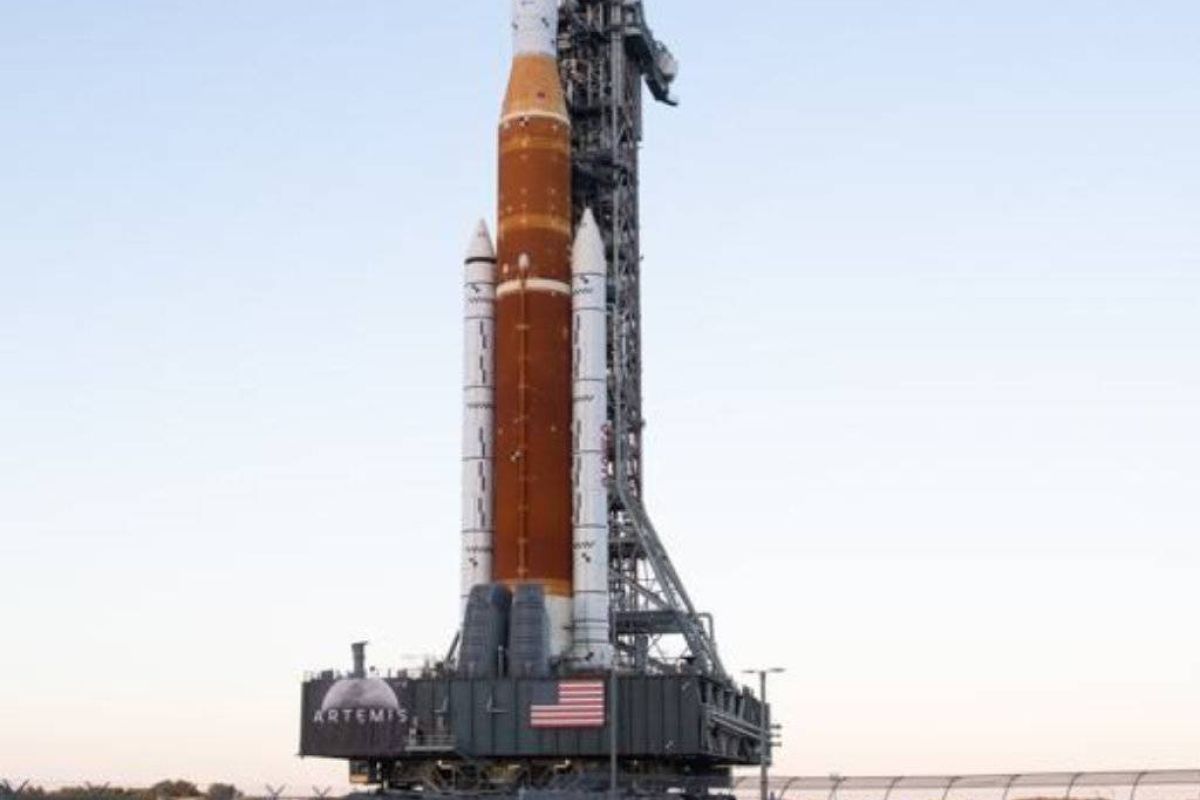 7d5b573829dc7ec12dff68a865f9651f XL d0188836