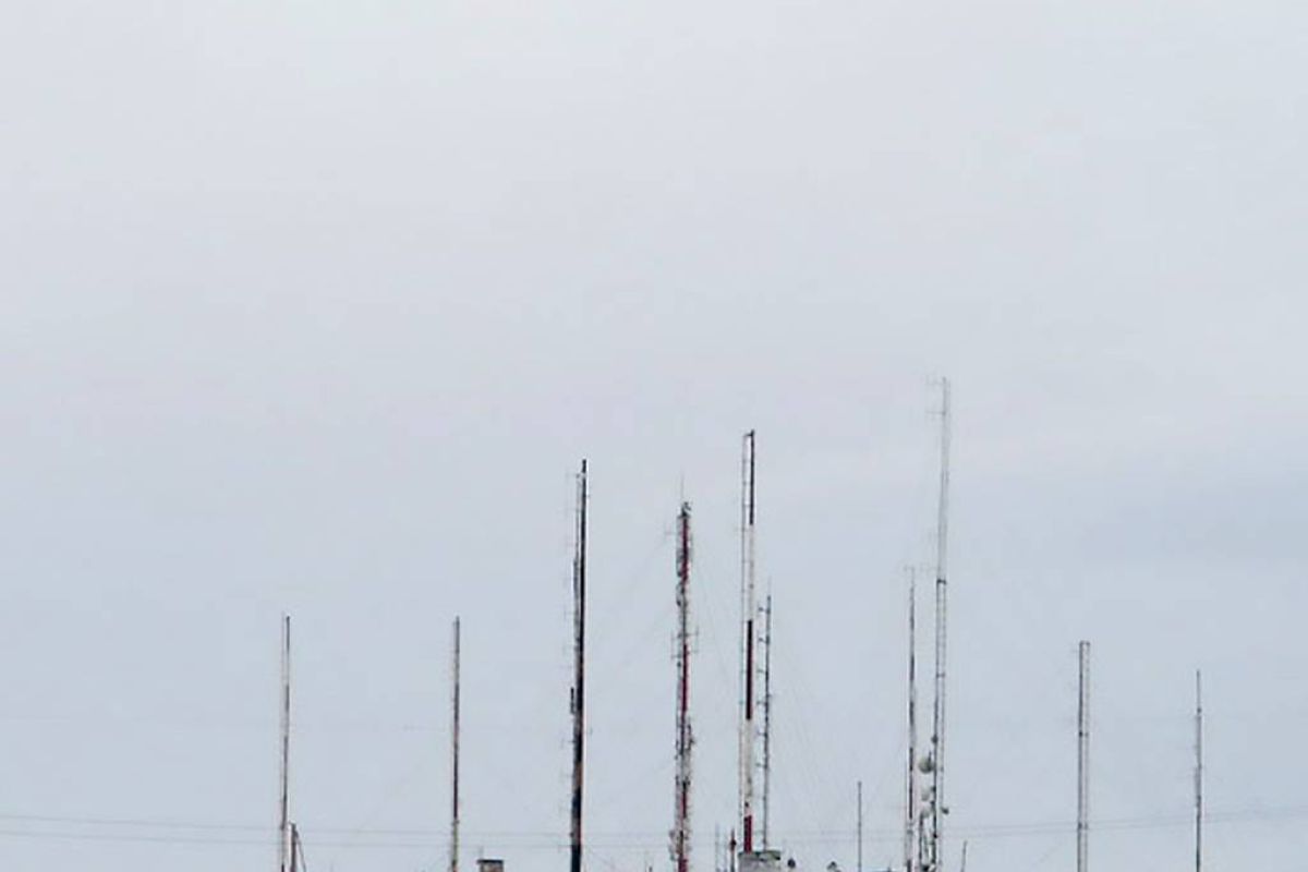 cfd61e4219e7b07a23c308744b6b7197 XL d0ad0d1e