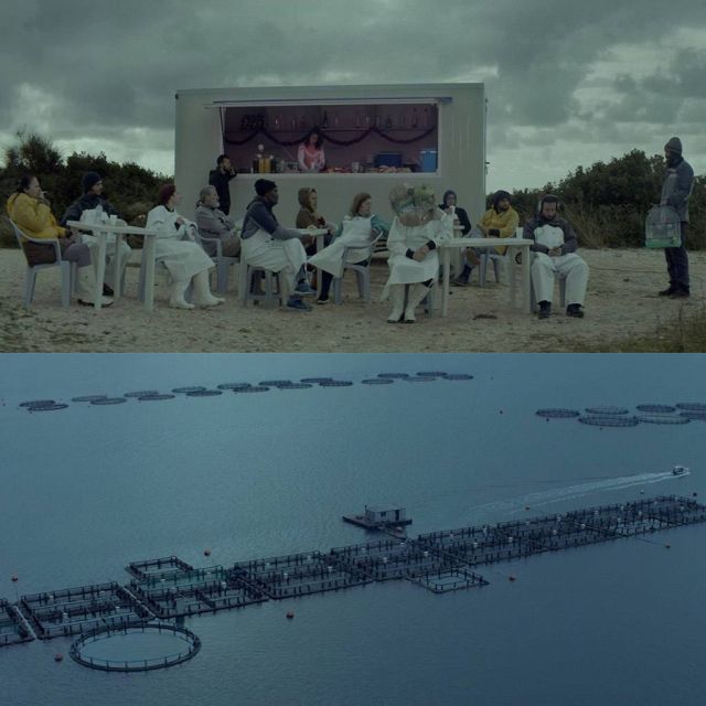 ΕΡΤ2 – ΜΙΚΡΕΣ ΙΣΤΟΡΙΕΣ «Η σιγή των ψαριών όταν πεθαίνουν»