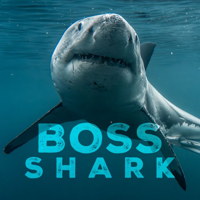 Ο αρχηγός των καρχαριών, Η εποχή των γιγάντων 2 και Ατένμπορο με VIASAT NATURE