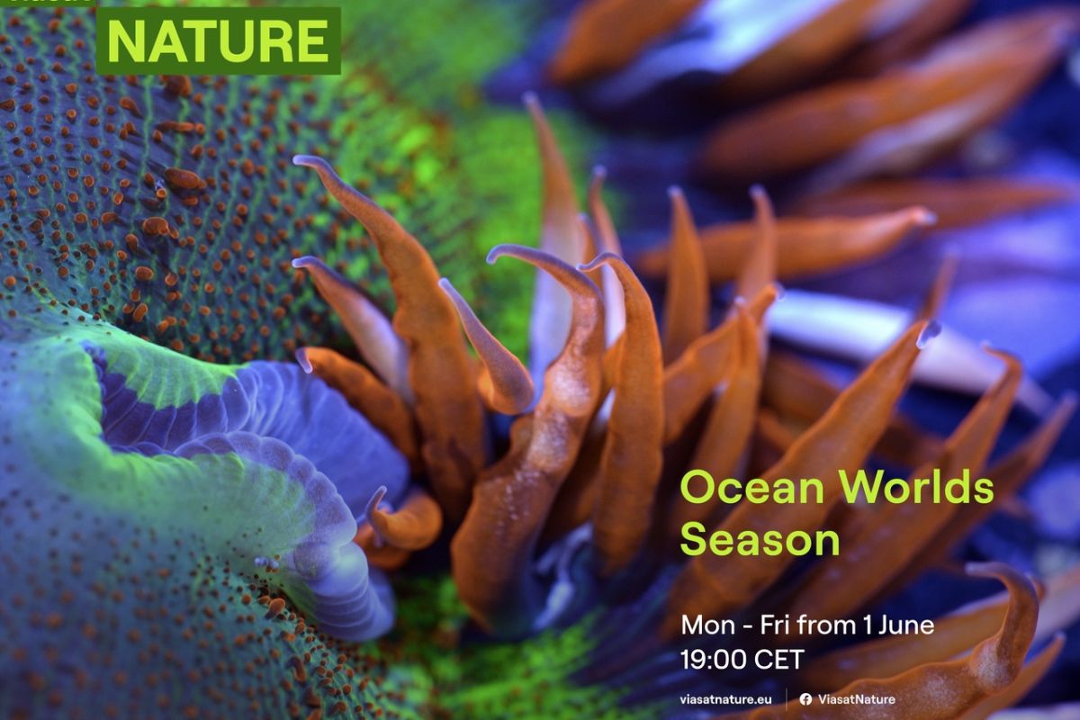 Viasat Nature Ocean Worlds Landscape KA d166ed8c