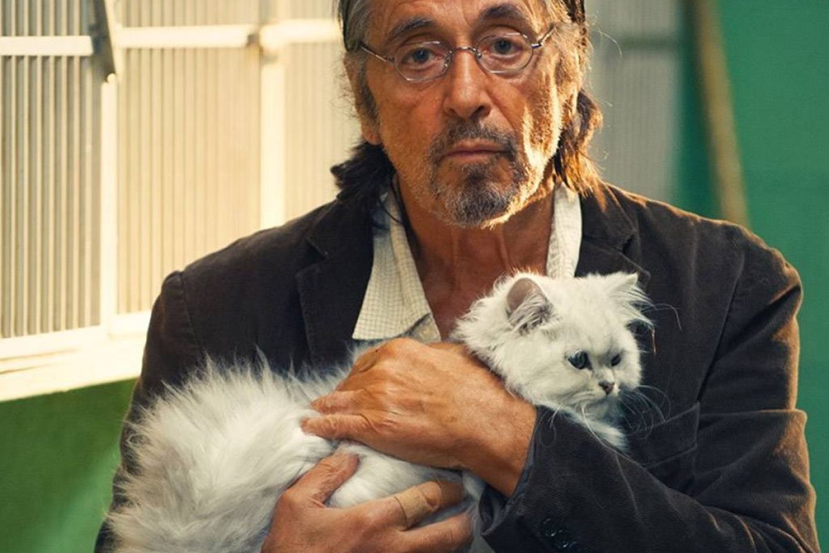 cdcc47c0e141d214b6a7c76ed1021f58 XL d1358be6