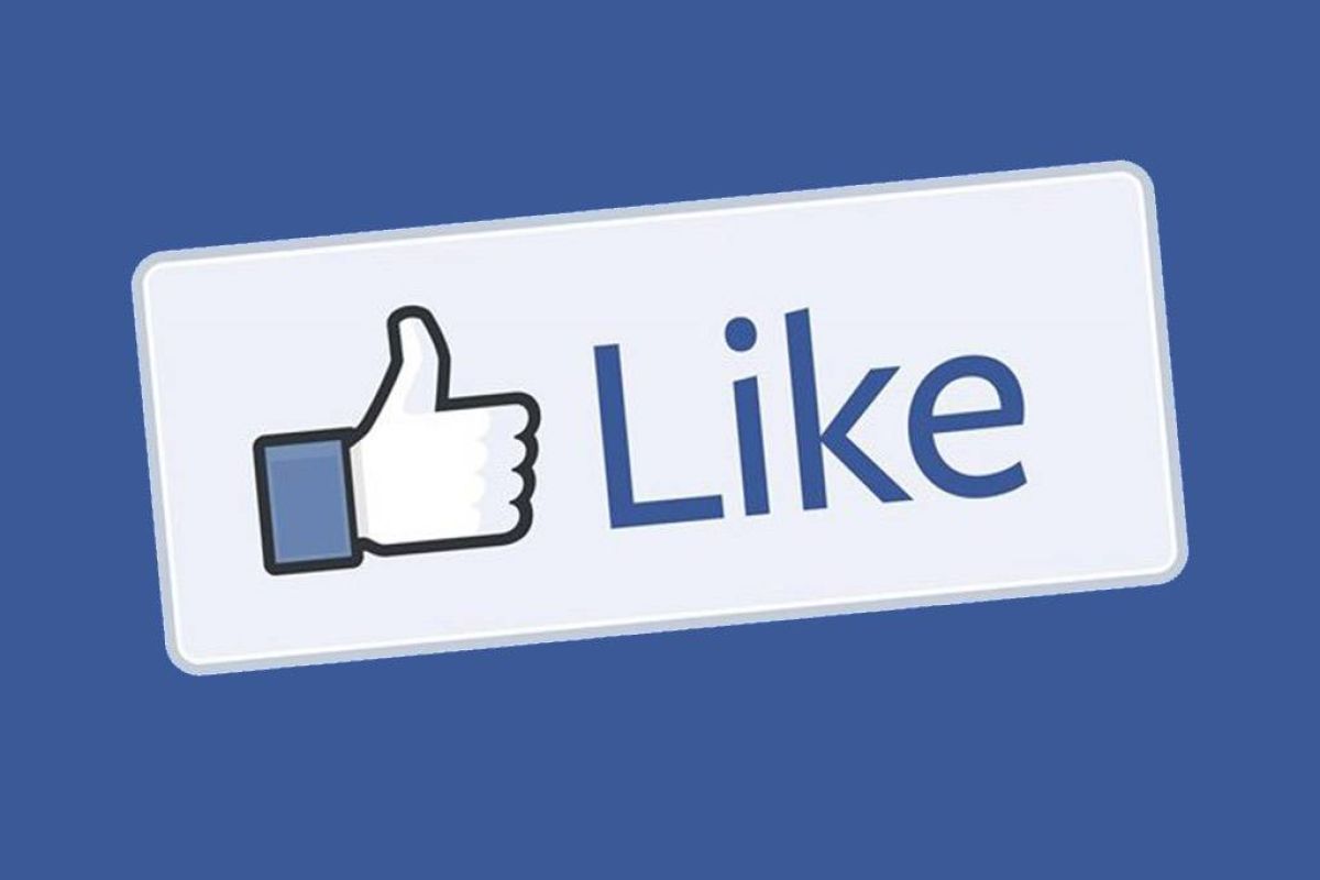 b341fb009fc1fe8a5d2dc7733f3f98b3 XL d216f964