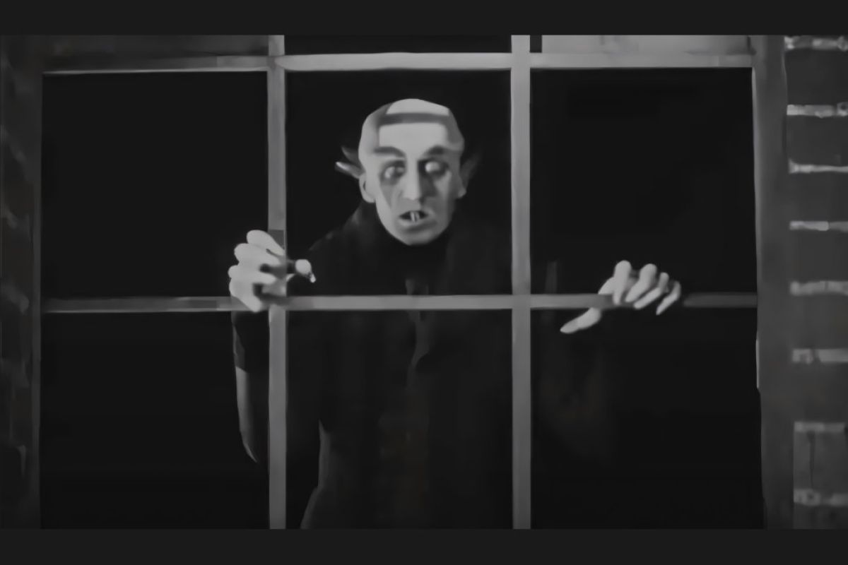 1024X1024 35 d3ff88b3