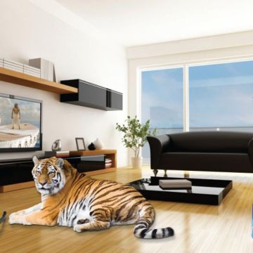 Τρισδιάστατες κινηματογραφικές πρεμιέρες σε Nova 3D