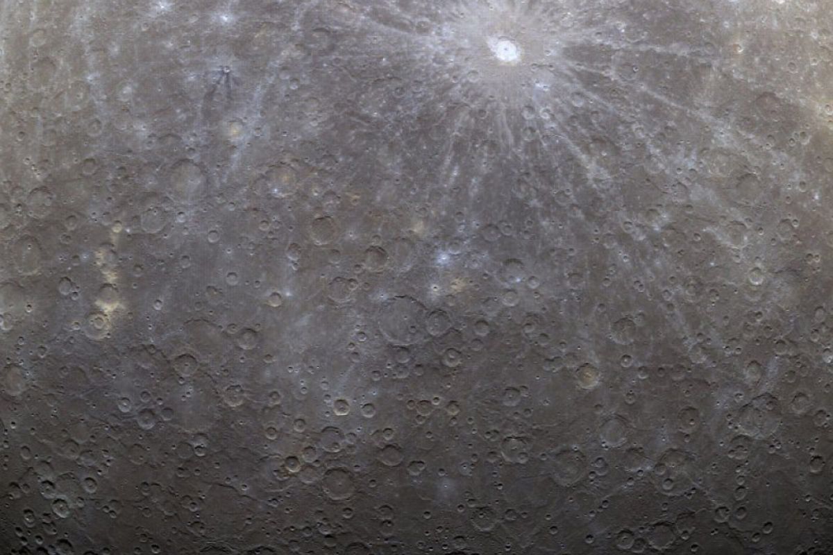 78f9562d9def237e4a6a6ce11f84d10e XL d4b51463