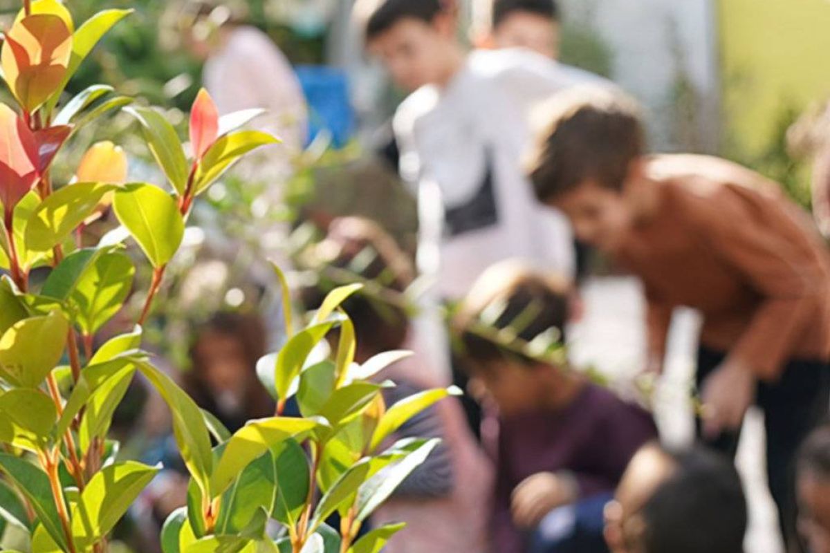 e7721b43677d4ac66c6903c937adfc15 XL d4238dce