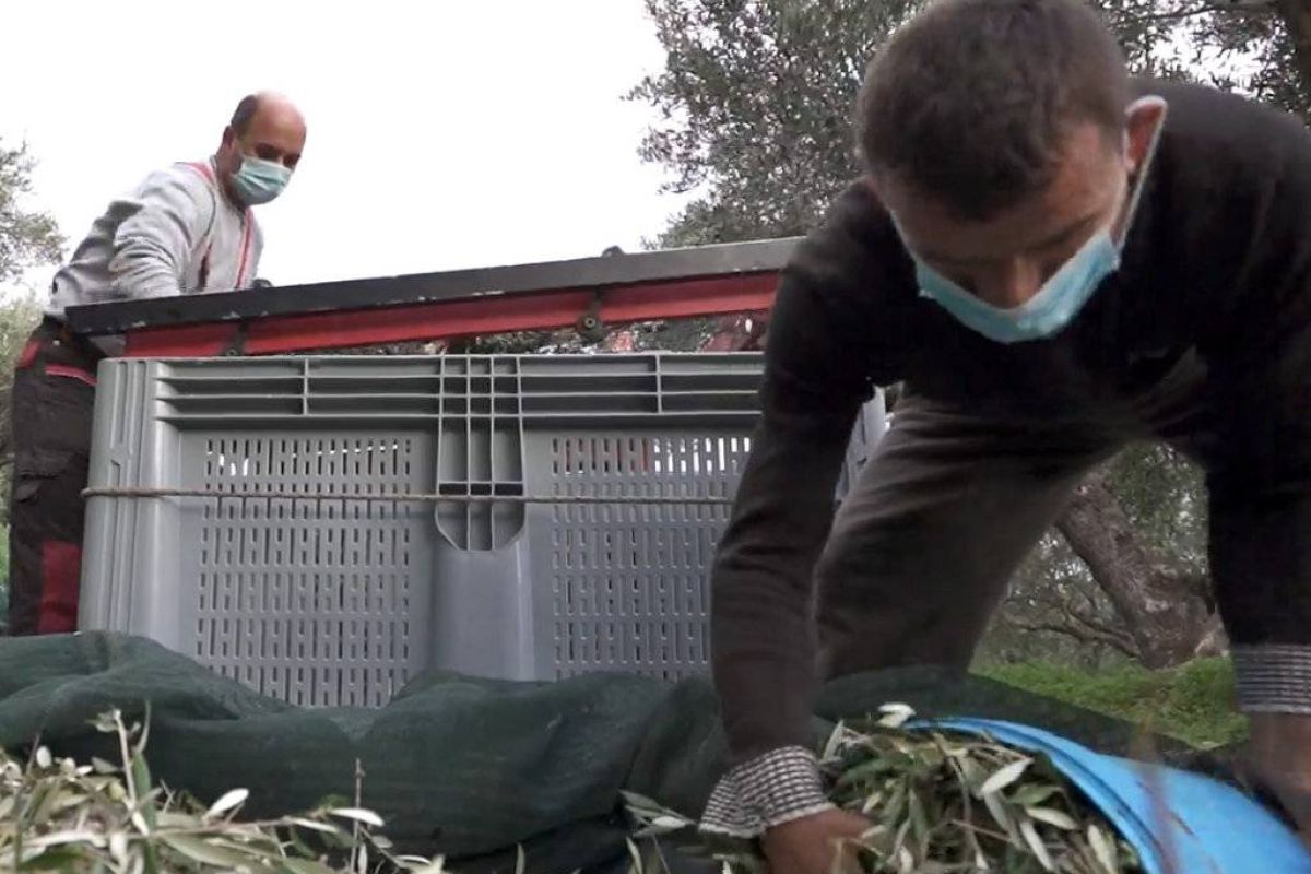 94ee46e9efab0da3dac9ad3a2ba10b36 XL d50712d0