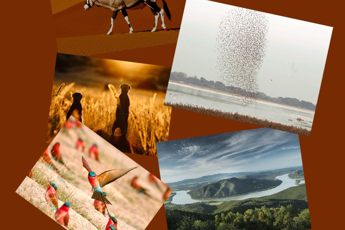 Untitled 1 134 d5356ede