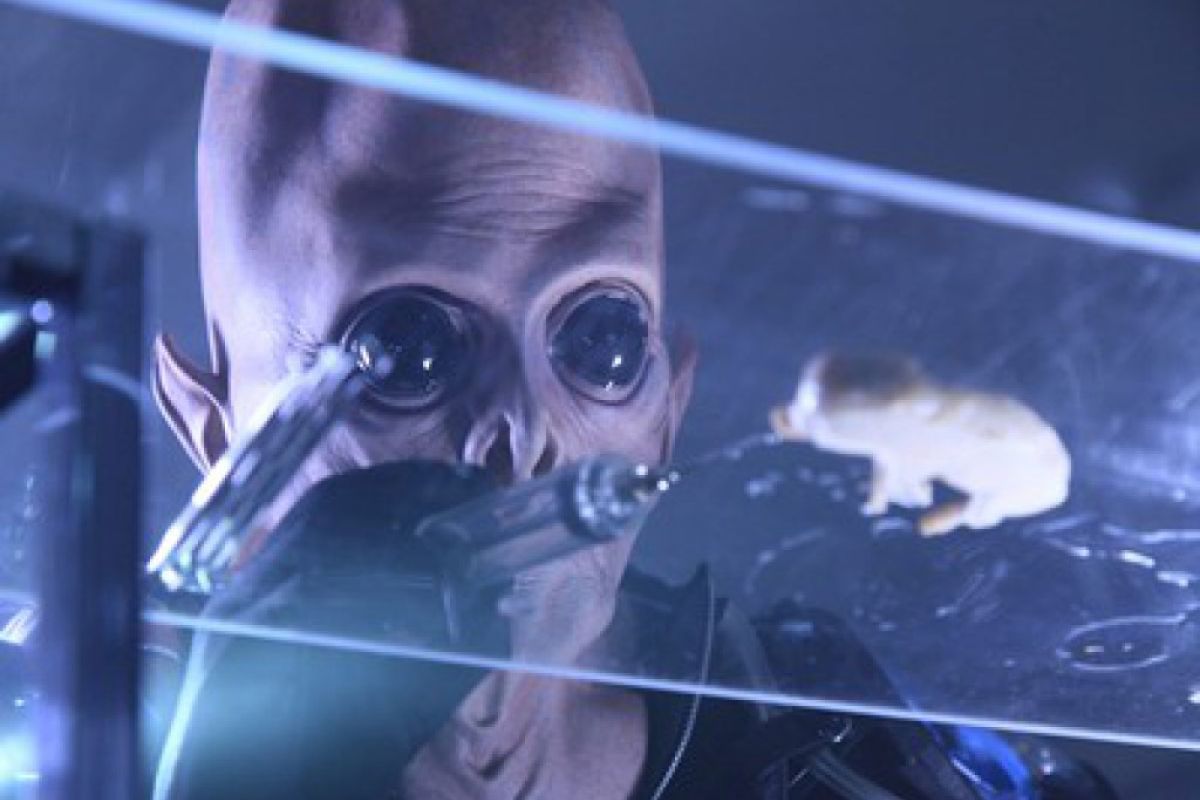 ca0d6da997c7f811cdca8d4563c6a22c XL d5b74dbc