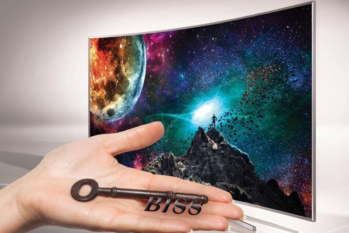 e3f430c569c7941111667147f52d89c4 XL d5440502