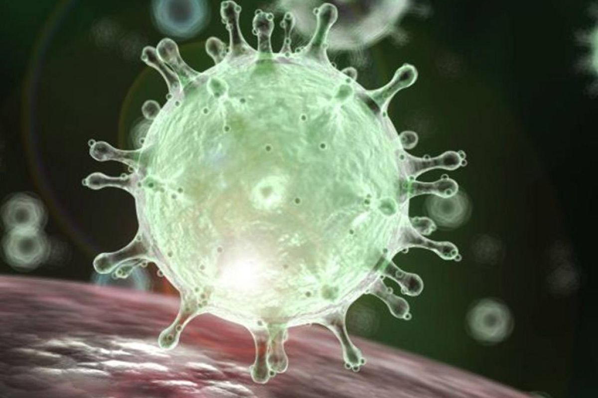 eddfad1ee2181a24eaa8b56f57e37ebd XL d5063e82