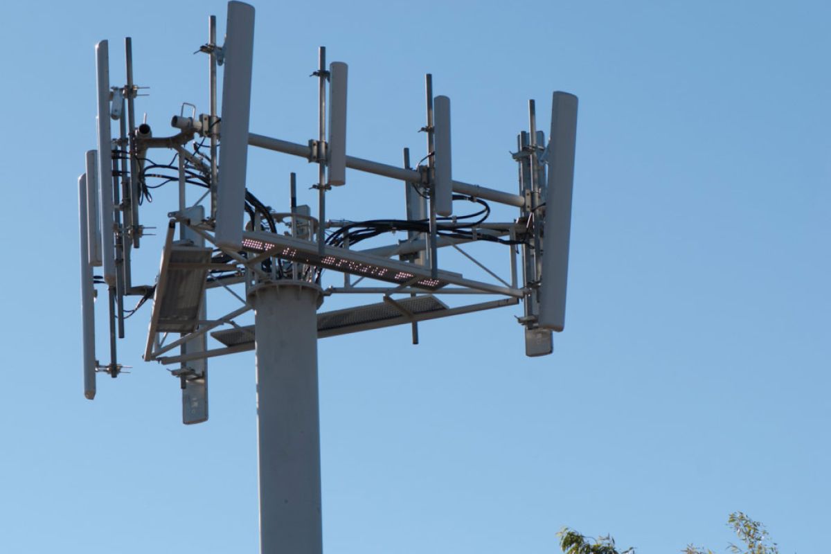 08591b49a0cd2403c3a6dd15ade7af60 XL d67af132