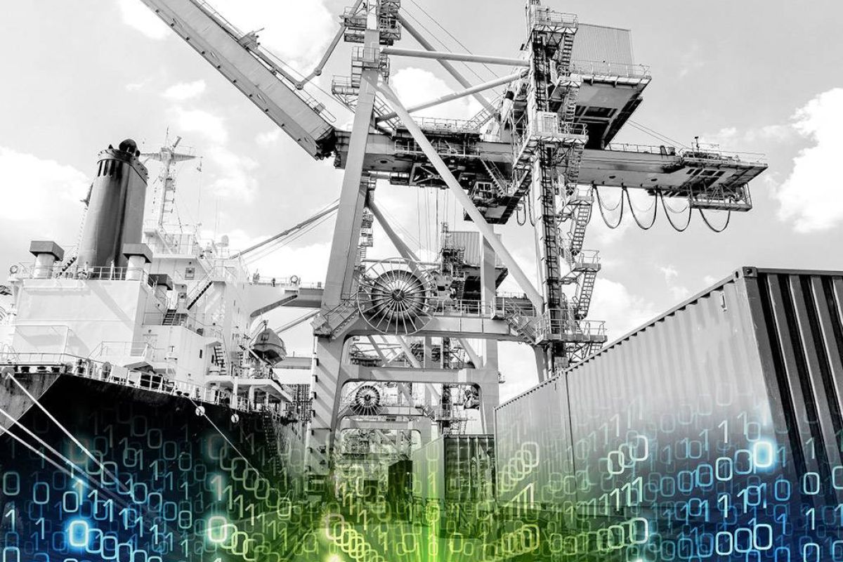 23abe3a9b65c7cdf242d045e31788bed XL d6262167