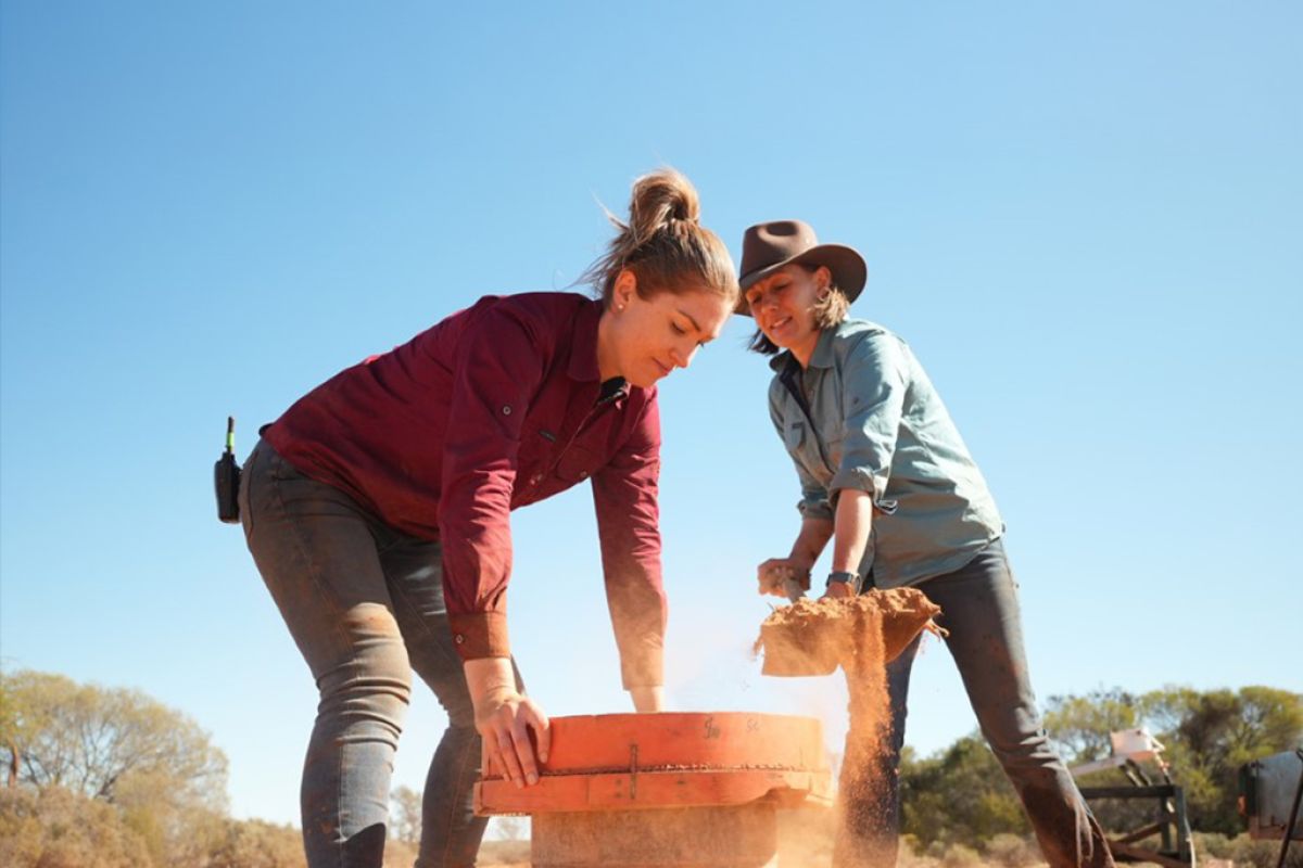 Untitled 1 Recovered 2 d6112dcd